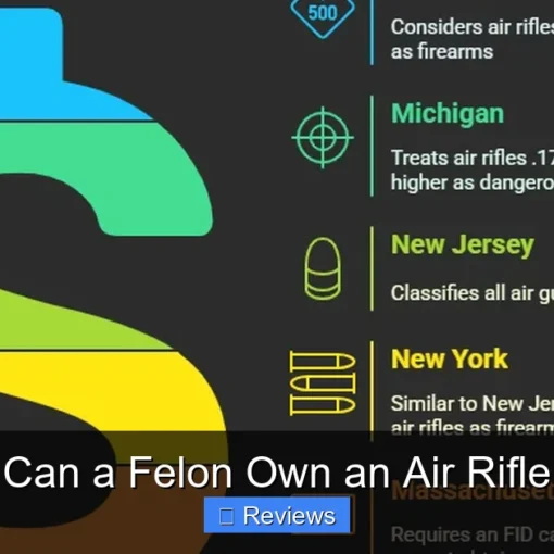 Can a Felon Own an Air Rifle