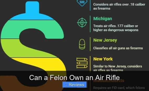 Can a Felon Own an Air Rifle