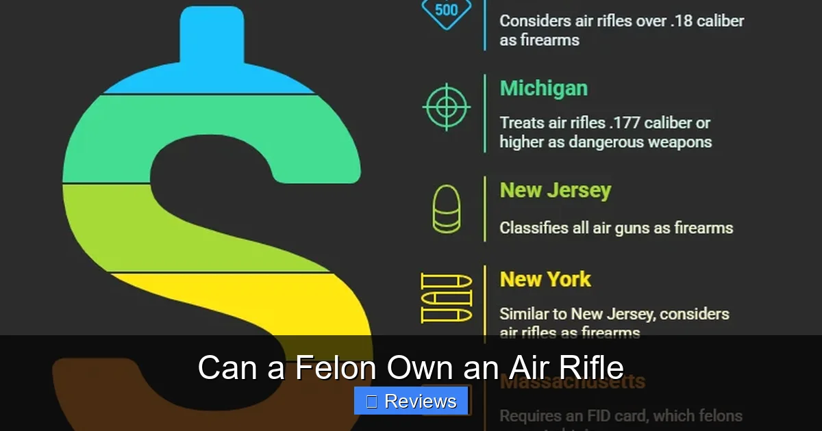 Can a Felon Own an Air Rifle
