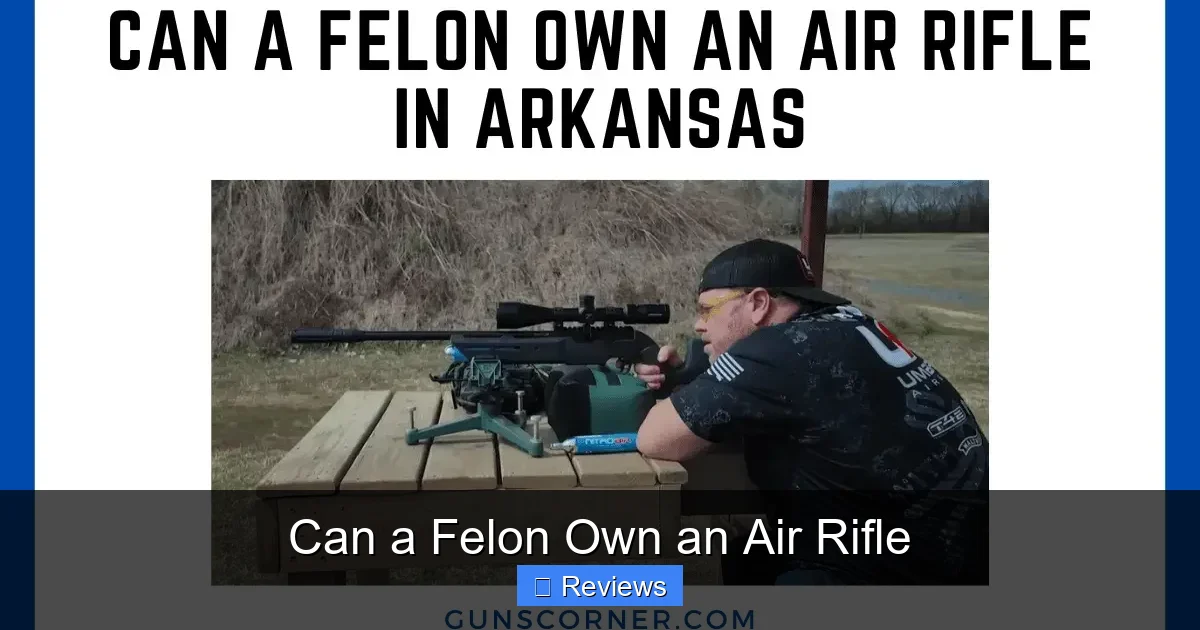 Can a Felon Own an Air Rifle