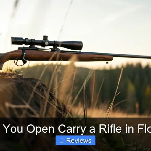 Can You Open Carry a Rifle in Florida