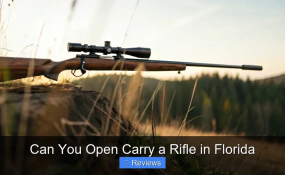 Can You Open Carry a Rifle in Florida