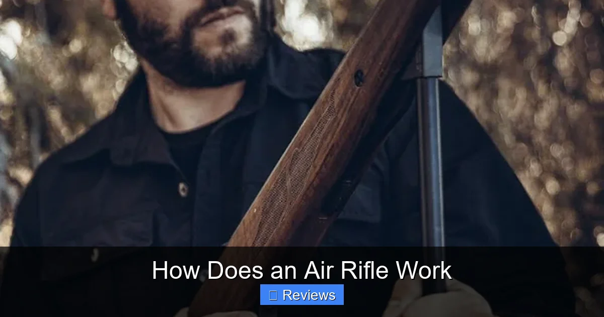 How Does an Air Rifle Work