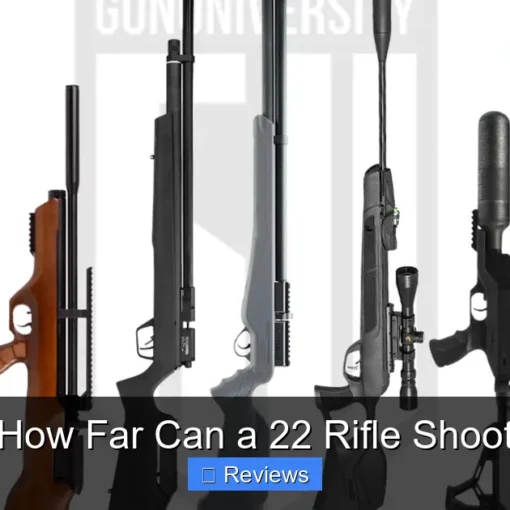 How Far Can a 22 Rifle Shoot