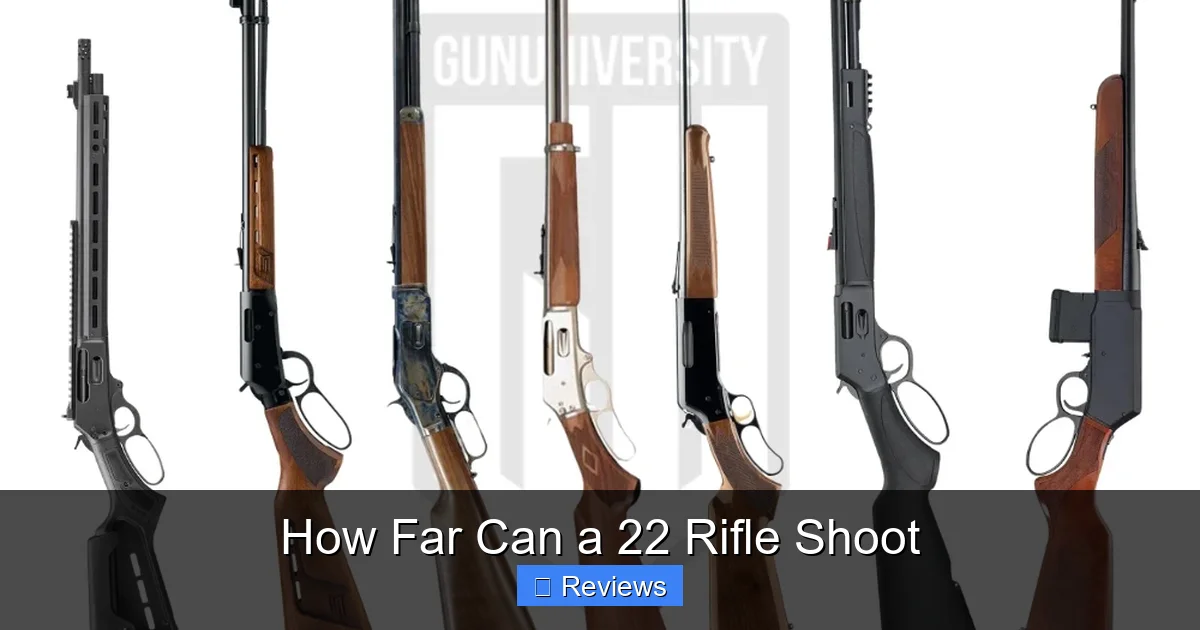 How Far Can a 22 Rifle Shoot