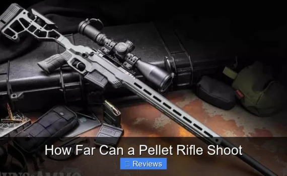 How Far Can a Pellet Rifle Shoot