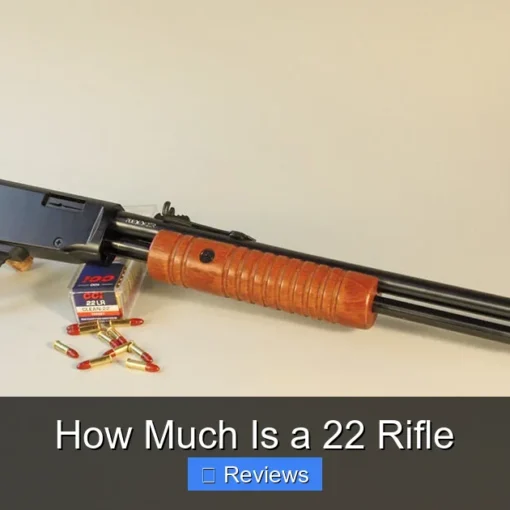 How Much Is a 22 Rifle