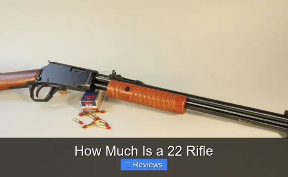 How Much Is a 22 Rifle