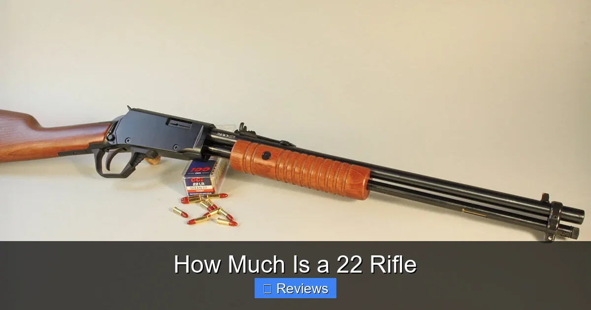 How Much Is a 22 Rifle