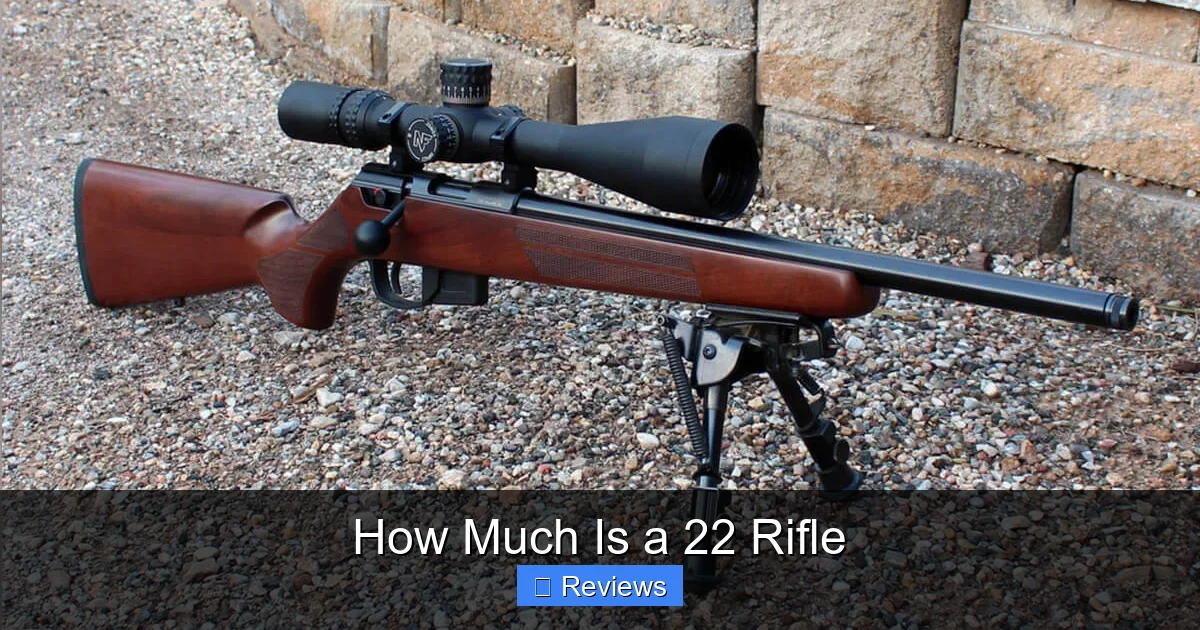 How Much Is a 22 Rifle