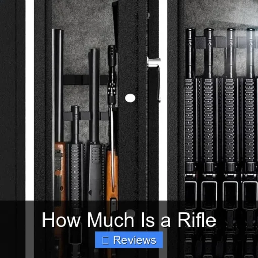 How Much Is a Rifle