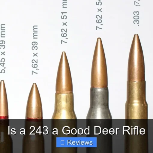 Is a 243 a Good Deer Rifle