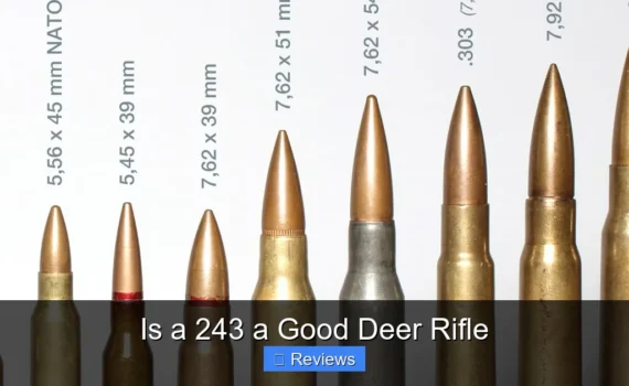 Is a 243 a Good Deer Rifle