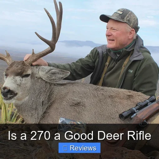 Is a 270 a Good Deer Rifle