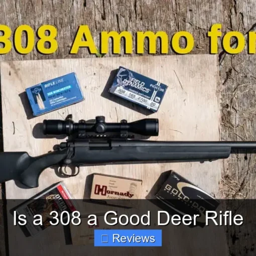 Is a 308 a Good Deer Rifle