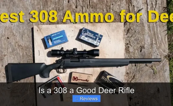 Is a 308 a Good Deer Rifle