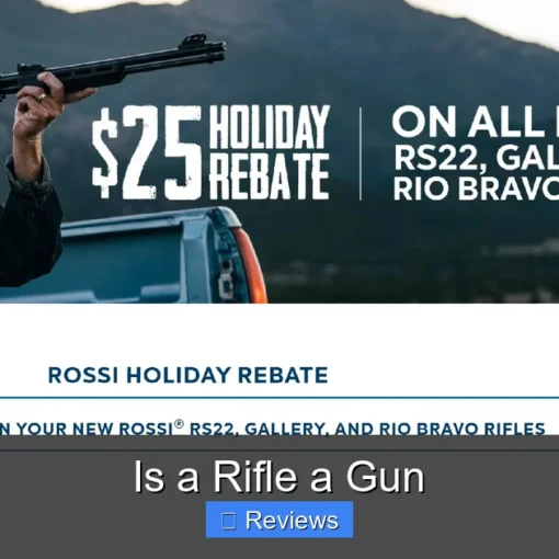Is a Rifle a Gun