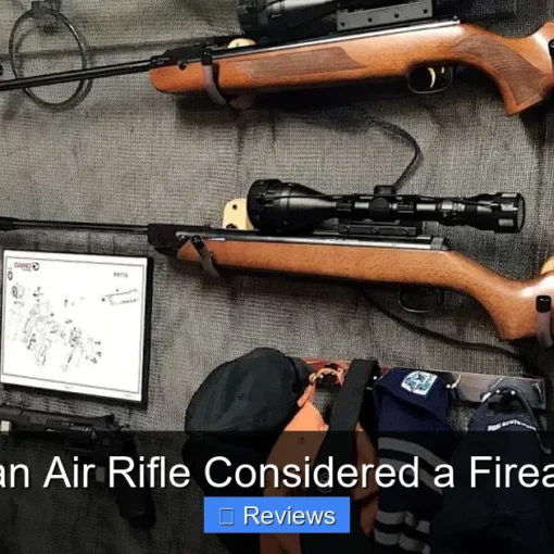 Is an Air Rifle Considered a Firearm