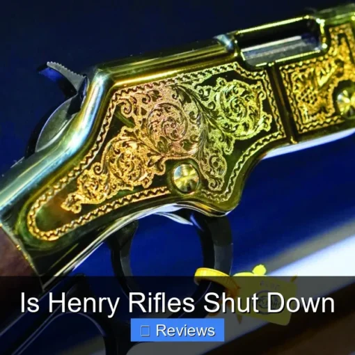 Is Henry Rifles Shut Down