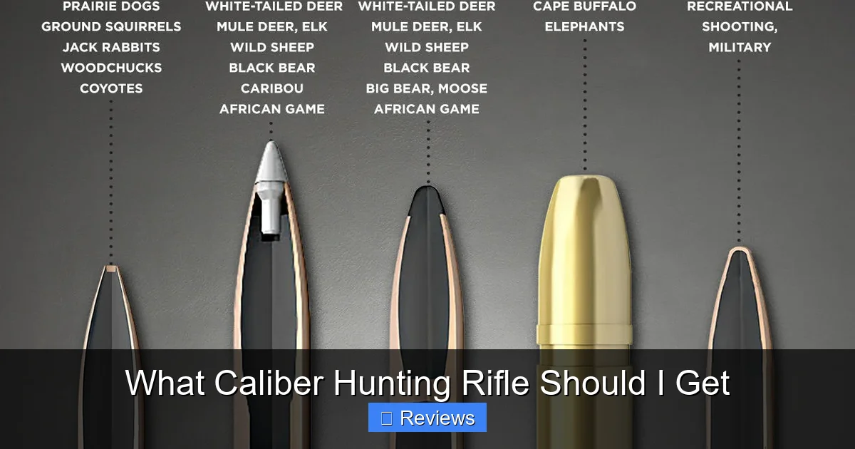 What Caliber Hunting Rifle Should I Get