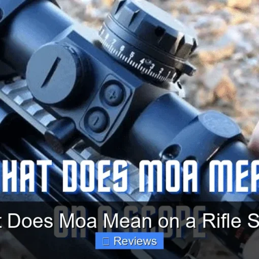 What Does Moa Mean on a Rifle Scope