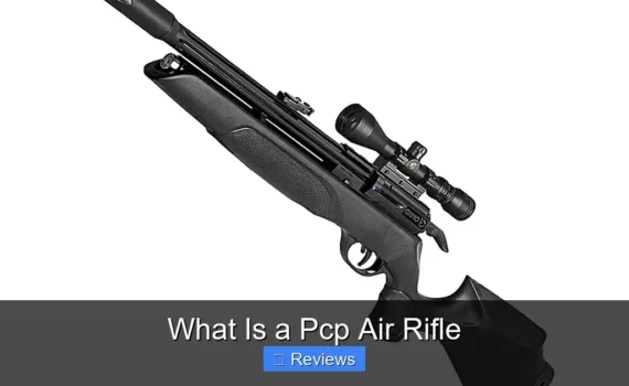 What Is a Pcp Air Rifle
