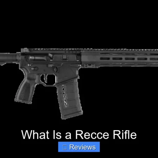 What Is a Recce Rifle