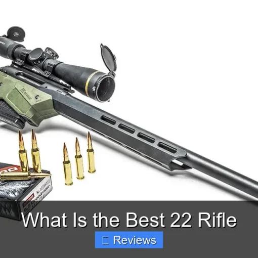 What Is the Best 22 Rifle