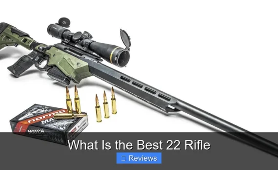 What Is the Best 22 Rifle
