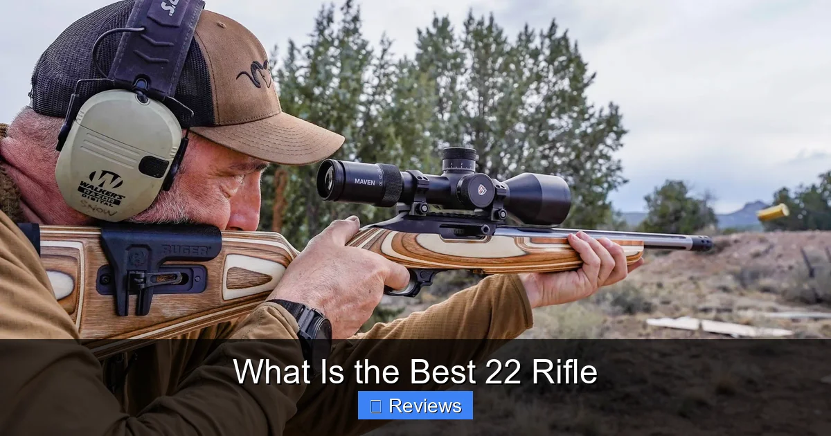 What Is the Best 22 Rifle