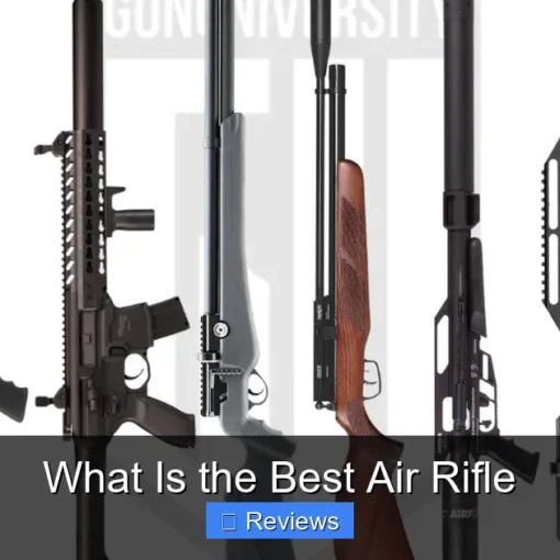What Is the Best Air Rifle