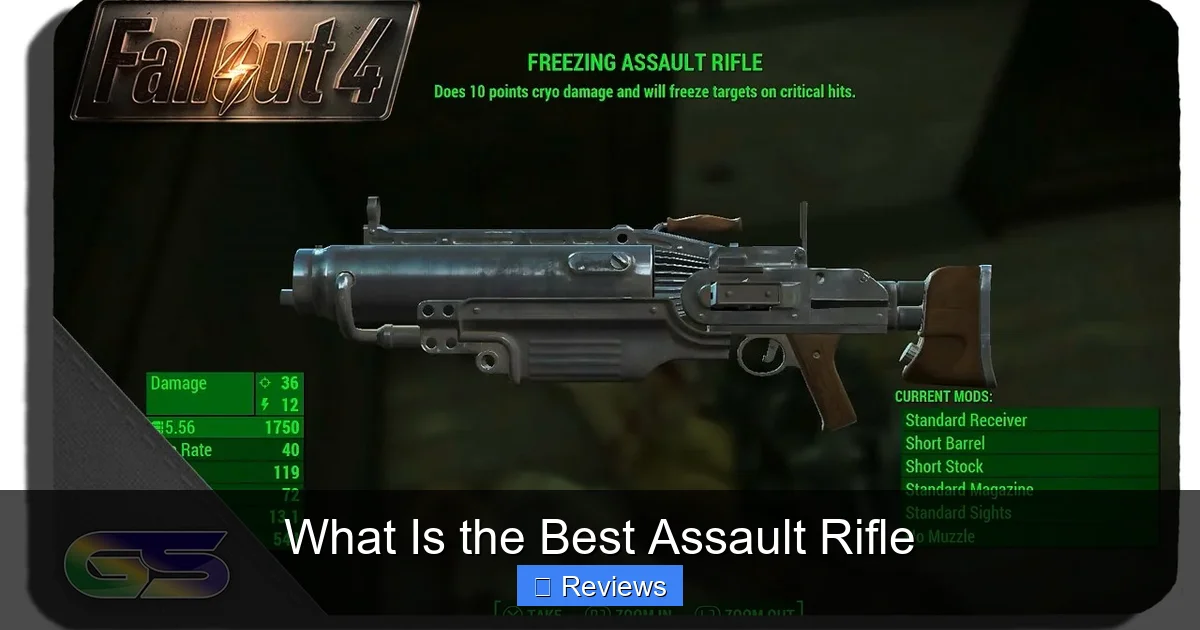 What Is the Best Assault Rifle