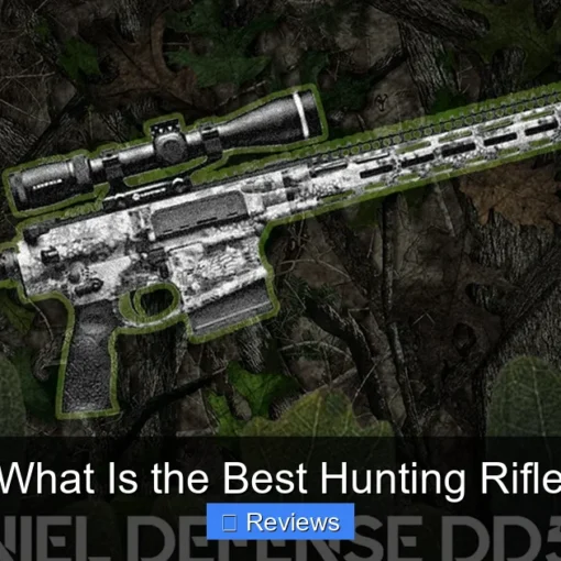 What Is the Best Hunting Rifle