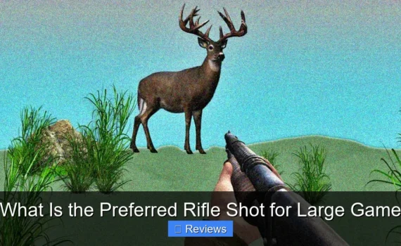 What Is the Preferred Rifle Shot for Large Game