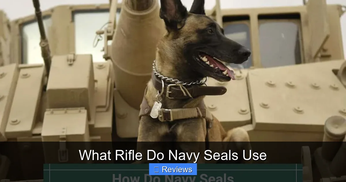 What Rifle Do Navy Seals Use