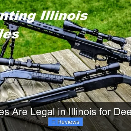 What Rifles Are Legal in Illinois for Deer Hunting