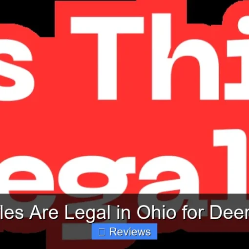 What Rifles Are Legal in Ohio for Deer Hunting