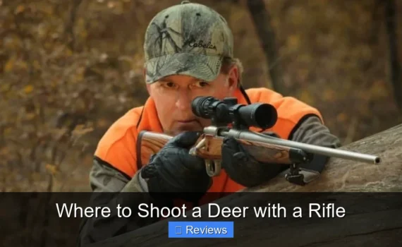 Where to Shoot a Deer with a Rifle