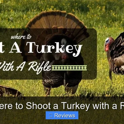 Where to Shoot a Turkey with a Rifle