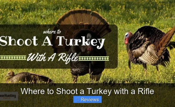 Where to Shoot a Turkey with a Rifle